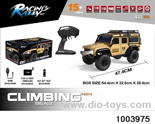 1:10 RC car in color box