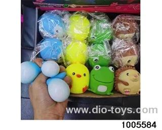 Cute pet in display box