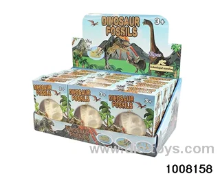Boxed archaeological dinosaur head 12pcs in display box