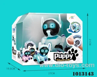 RC stunt dog with watch in window box