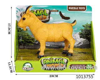 animal set in color box