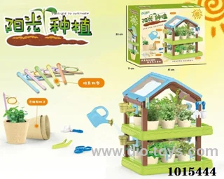 Sun planting hut in Color box