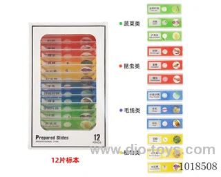 12pcs  specimen in window box