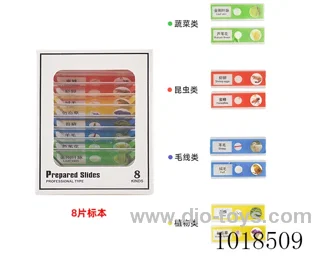 8pcs  specimen in window box