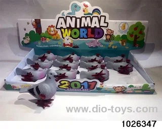 winding pigeons in display box
