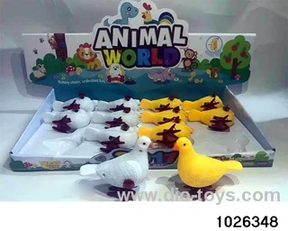 winding pigeons in display box