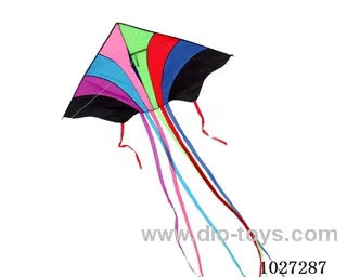 kite with line in opp bag