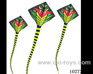 kite with line in opp bag