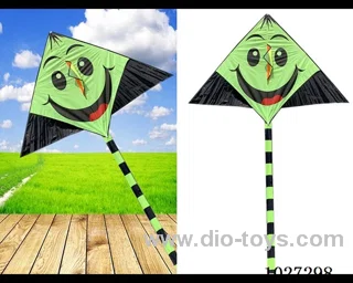 kite with line in opp bag