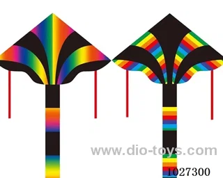 kite with line in opp bag