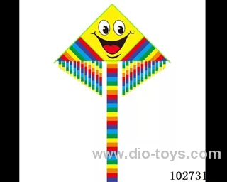 kite with line in opp bag