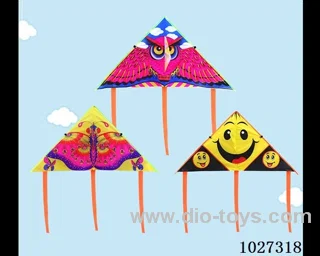 kite with line in opp bag