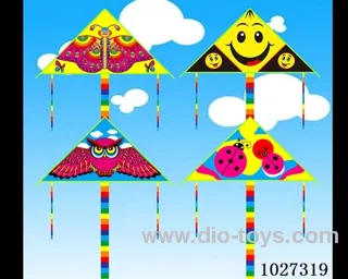 kite with line in opp bag