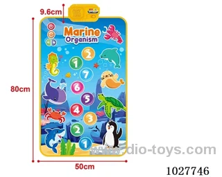 Children's Walking Blanket in Color box