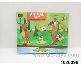 Magnetic Puzzle in color box