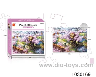 1000PCS  Puzzle toy in color box