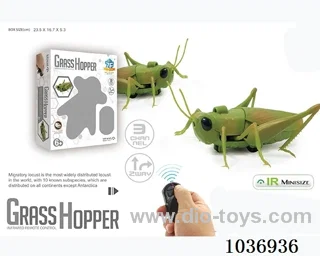 Grasshopper infra-red in window box