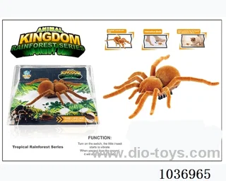 Vibrate crawling baby tarantula in window box