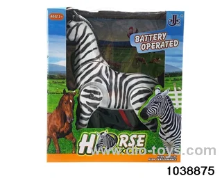 Electric Zebra in window box