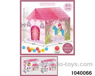 flysheet in color box