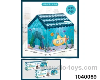 flysheet in color box