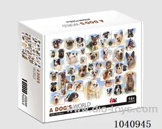 1000PCS Puzzle toy in color box
