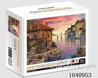 1000PCS Puzzle toy in color box