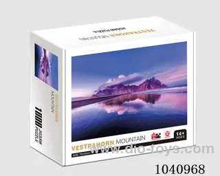 1000PCS Puzzle toy in color box