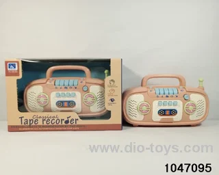 Stylish Big Recorder in window box