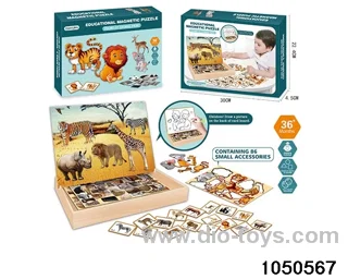 Magnetic Puzzle in color box
