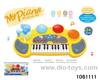 24 Keys Electronic Piano in window box
