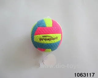 6 inch volleyball in Net bag