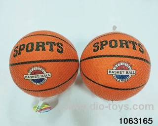 10 inch basketball in Net bag