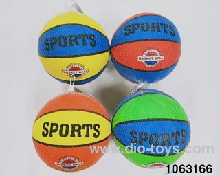 10 inch basketball in Net bag