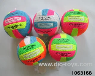 9 inch volleyball in Net bag
