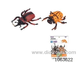 insect