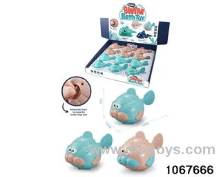 Pufferfish in display box
