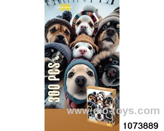 300pcs puzzle in bottom box