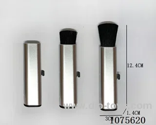 Retractable dust brush