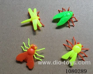 insect