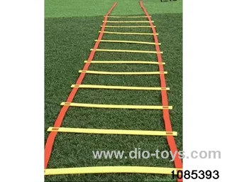 Training Agility Ladder in Poly bag