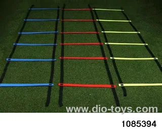 Training Agility Ladder in Poly bag