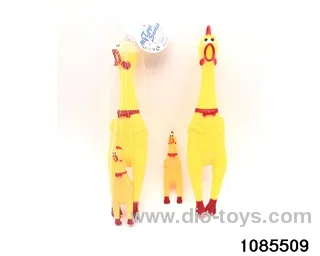 Cried chicken in Net bag