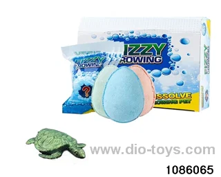 turtle's egg in 12pcs display box