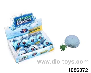 Turtle shells in 12pcs display box