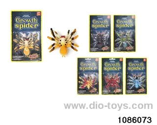 Water Swelling Wild Spiders in paper card