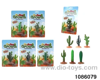 Soaking water expansion simulation cactus in paper card