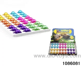 tortoise egg in 36pcs display box