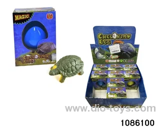 tortoise egg in 12pcs display box
