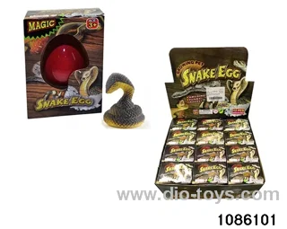 boa constrictor's egg in 12pcs display box